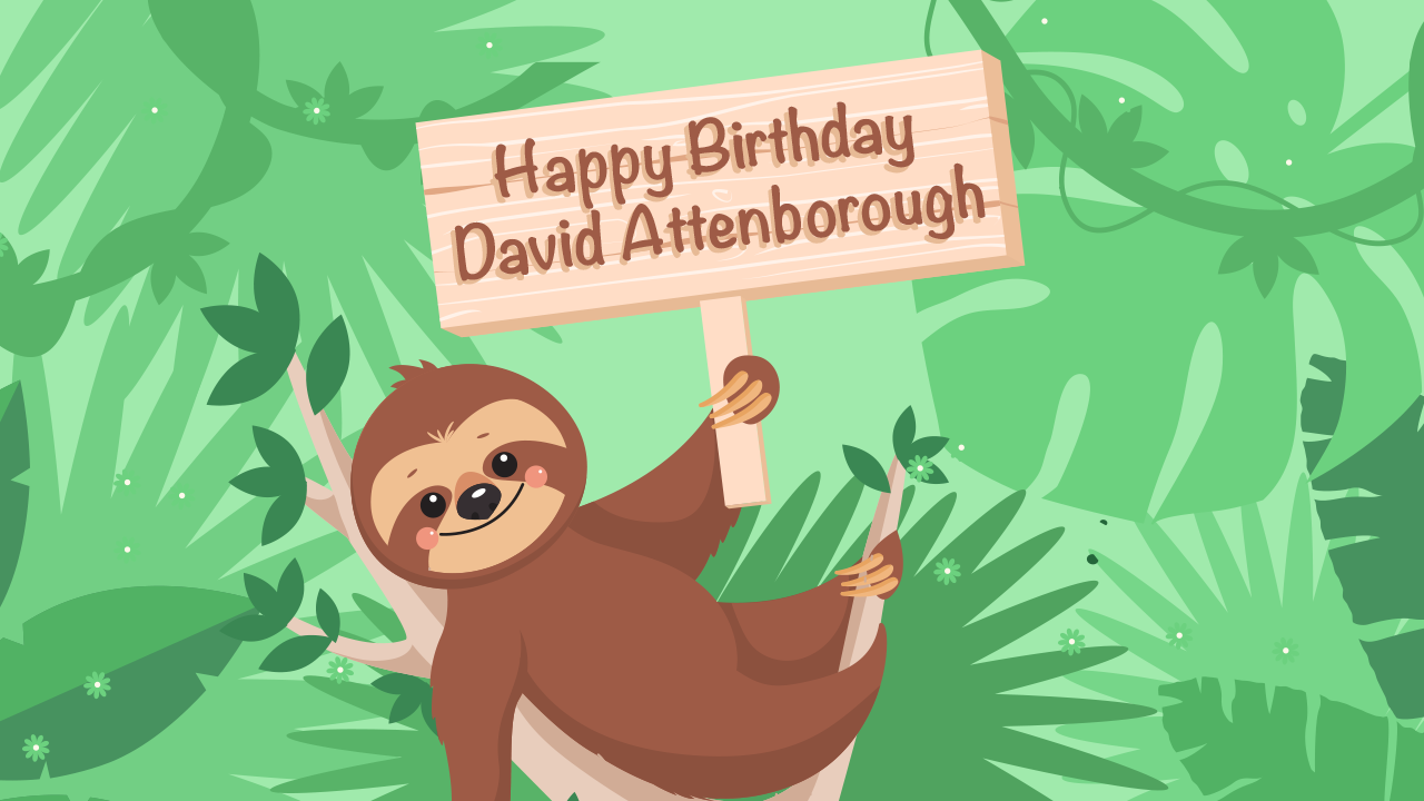 Celebrating David Attenborough’s Birthday | 2023 | Setuply